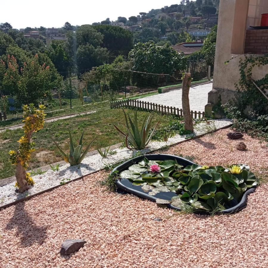 Villa Blanca 10 Minutos De La Playa Costa Brava Massanet De La Selva المظهر الخارجي الصورة